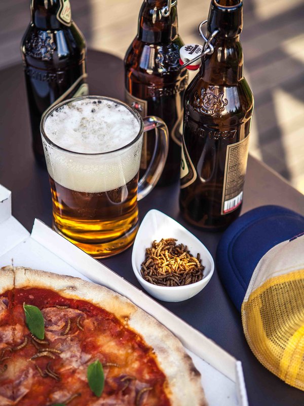 Levně Domácí degustace piva s pivovarem Zlatá Kráva: Průřez pivními styly pro pivní nadšence + bedna 10 druhů piva