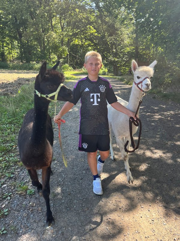 Noc na statku Stein s vířivkou a procházkou s lamami