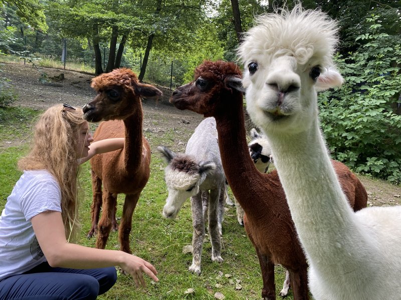 Levně Setkání s exotickými živočichy