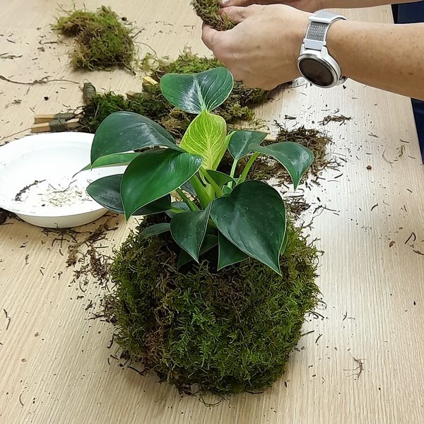 Tvoření z mechu: Mechový obraz nebo japonská kokedama