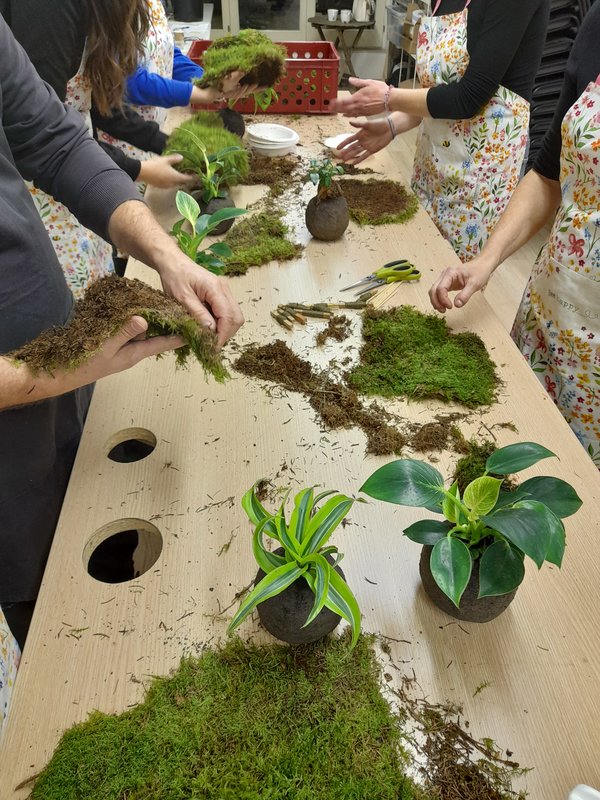 Tvoření z mechu: Mechový obraz nebo japonská kokedama