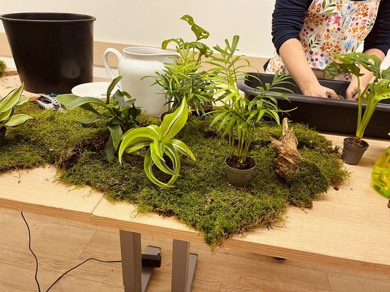 Tvoření z mechu: Mechový obraz nebo japonská kokedama