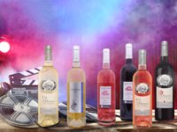 Domácí degustace vín - Vinice Pierra Richarda a Gérarda Depardieu + bedna šesti druhů vína