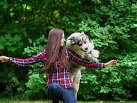 Online psí škola: 19 lekcí, 2 eBooky a roční poradenství od profesionálů